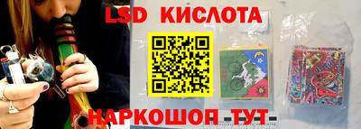 сатива Краснодар