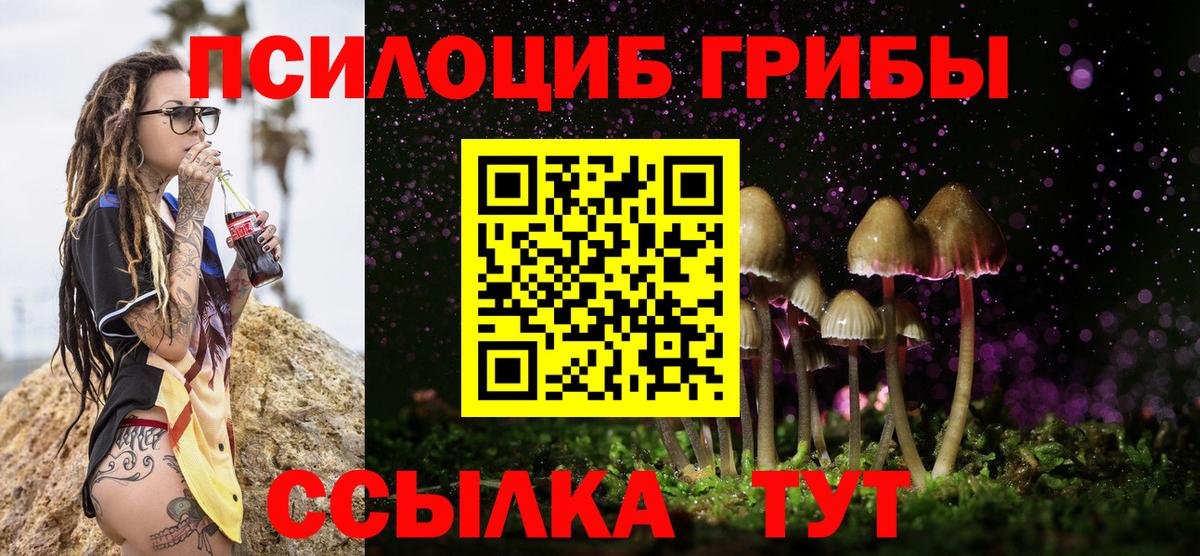 купить   Псилоцибиновые грибы мухоморы  Вход с VPN  Орёл 