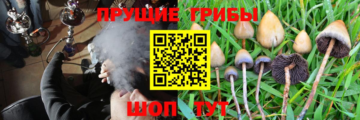 Псилоцибиновые грибы MAGIC MUSHROOMS Орёл